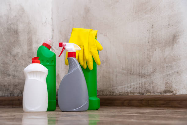 Why You Should Choose Our Mold Remediation Services in Tipton, IA